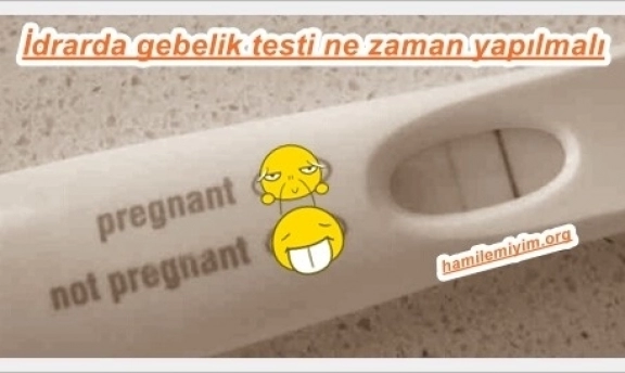 SORU: İdrar testinde hamilelik ne zaman belli olur
